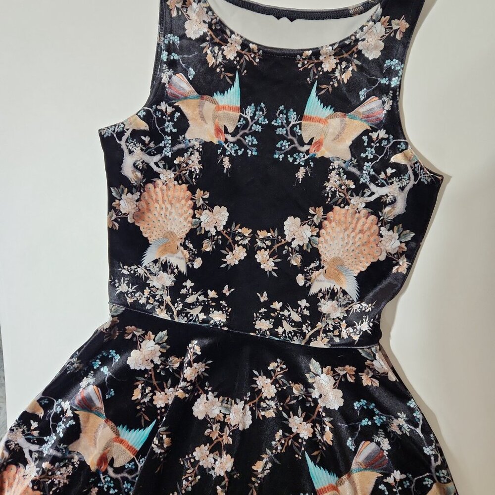 NWT Blackmilk Coromandel Screen Velvet Princess Midi Dress pockets birds print S